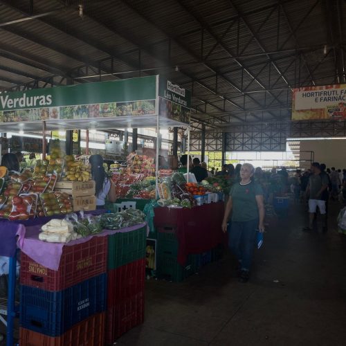 Feira de histórias: sobrevivência através do empreendedorismo na feira 307 norte