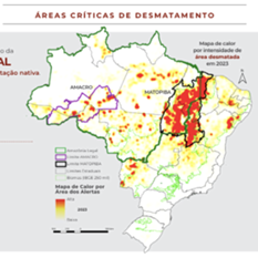 Deus ama, homem mata: agricultura predatória acelera desertificação no MATOPIBA