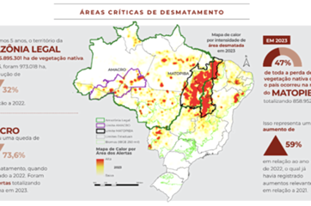 Mapa das áreas mais devastadas pelo avanço do desmatamento - Foto: MapBiomas